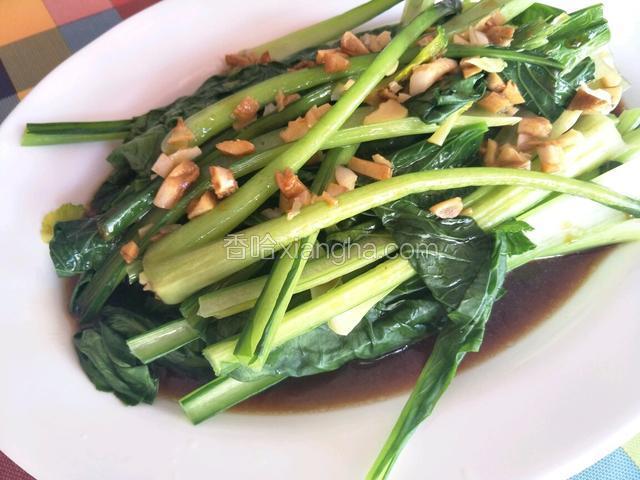 广东菜心