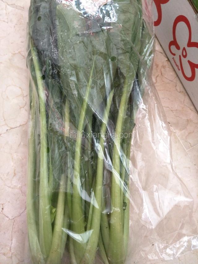 买来的广东菜心
