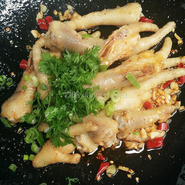 最后加入葱和香菜段