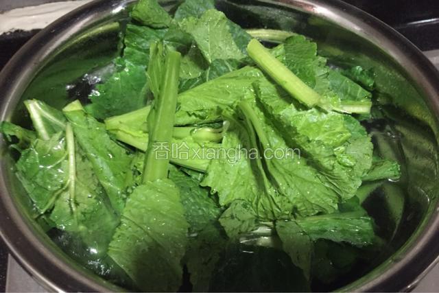 接着下菜叶的部分下去烫