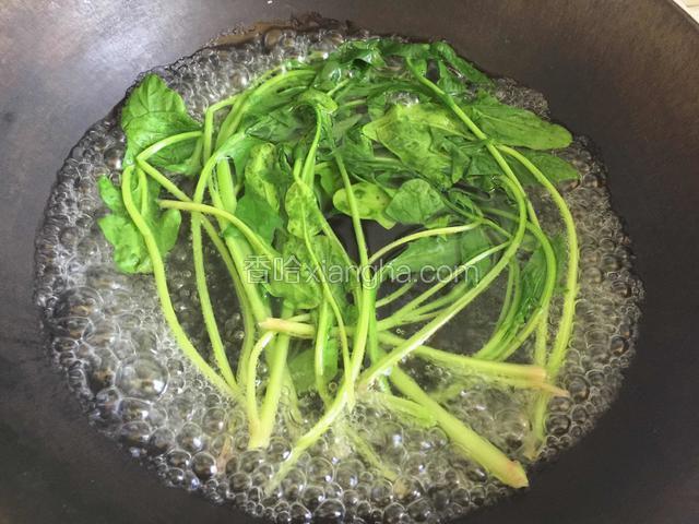 锅内烧开水放入菠菜焯烫，捞出沥干水分，切段备用。