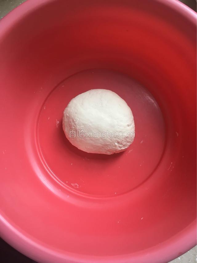 把面粉用温水加少许的盐和好，揉揉，醒半小时备用