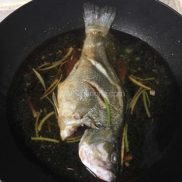 放入煎好的鲈鱼盖上锅盖大火煮开几次
