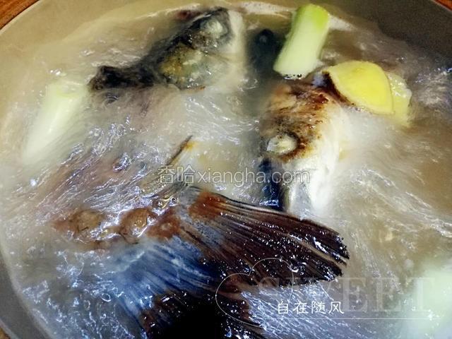 砂锅中放入姜片 水煮开将炸好的鱼头和蒜瓣放入锅中 放葱段 大火煮开