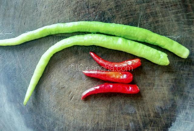 将小米辣和杭椒切碎，炒锅放少许食用油烧热，倒入辣椒碎炒香，倒入蘸料碗中即可，用来蘸猪肚条吃。这个蘸料，可以随自己的爱好来调制。