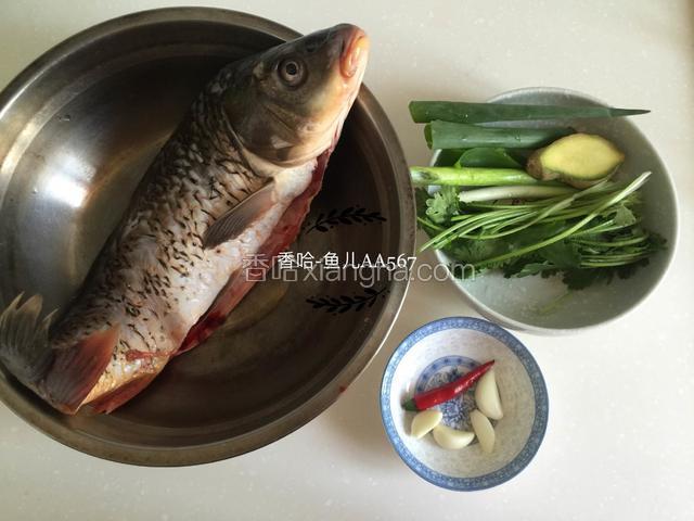 准备食材，鲤鱼去腮去鳞去内脏，洗净。