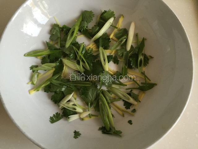 盘中铺好葱丝、姜丝和香菜段。