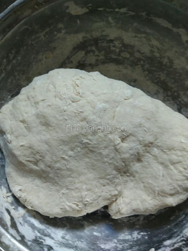 和成面团，盖上湿屉布醒半个小时！