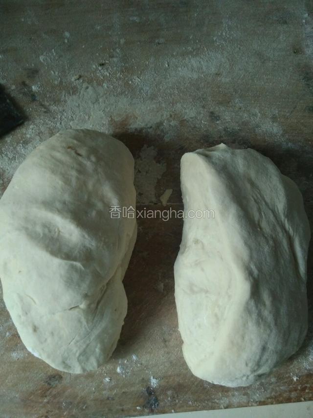 开始揉面，面团一分为二。烫面不需要揉太久的。