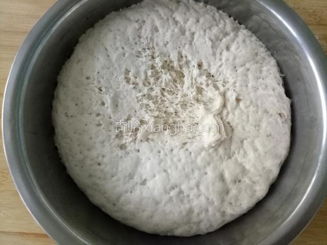 发酵好的面团明显膨胀 呈蜂窝状