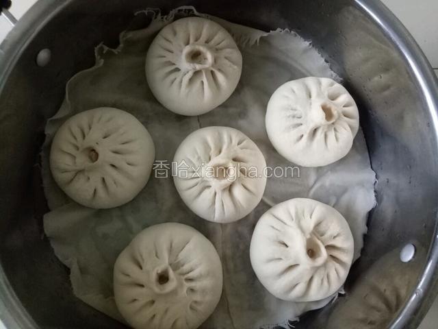 锅中添入适量热水，放上湿的屉布，拾入包子，盖盖，开锅蒸二十分钟