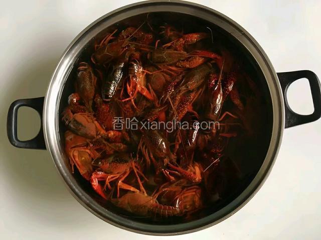 新鲜小龙虾2斤，用淡盐水加少许醋浸泡一个小时迫使龙虾吐出腮部赃物，用刷子将龙虾每一个部位刷洗干净，清水洗净，头部剪刀下去不要到底，剪入一半就往外拉，这样一般情况下整个胃就出来了(黑色囊状物体就是胃了)，熟能生巧，多练习吧，我的是卖家帮忙弄的
