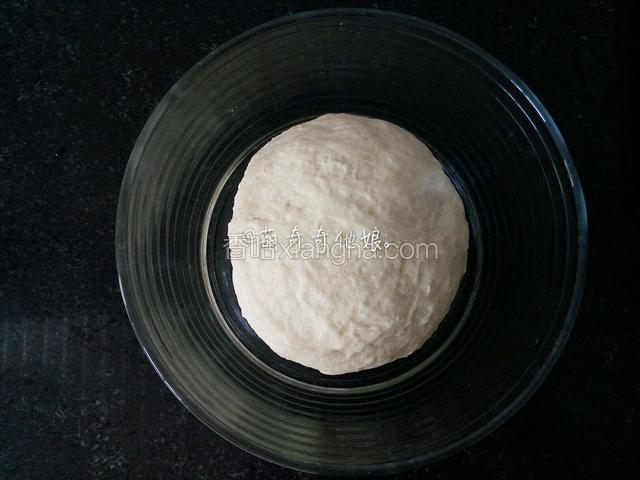 种面团材料混合均匀成团，盖保鲜膜室温进行基础发酵。