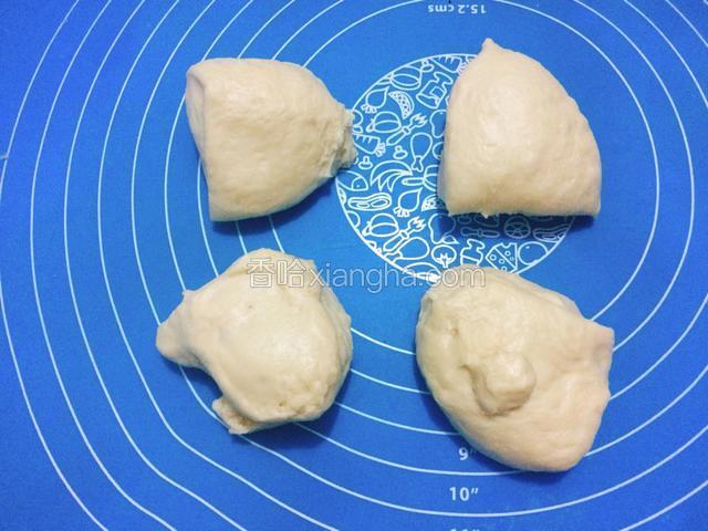发酵好的面团，分割成4等份。