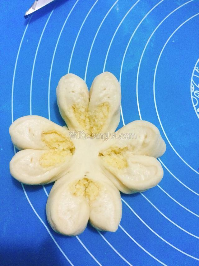 如图，把剪好的花瓣翻卷好，整理成四叶草的形状。