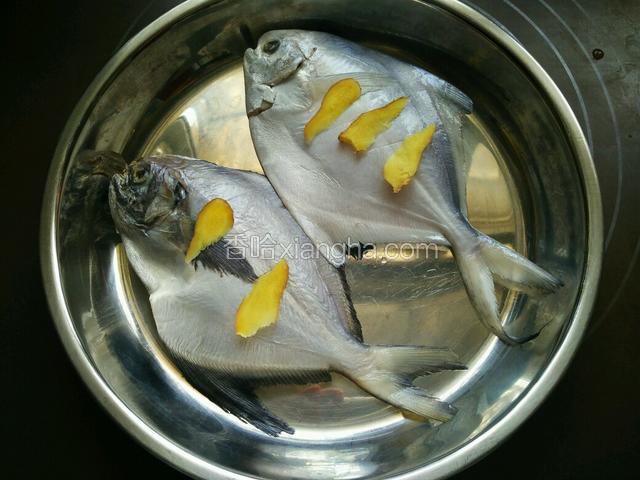 海鲳鱼去内脏去腮，清洗干净后在鱼身两面轻划几刀，周身轻轻抹上少许料酒，两面都贴上生姜片。