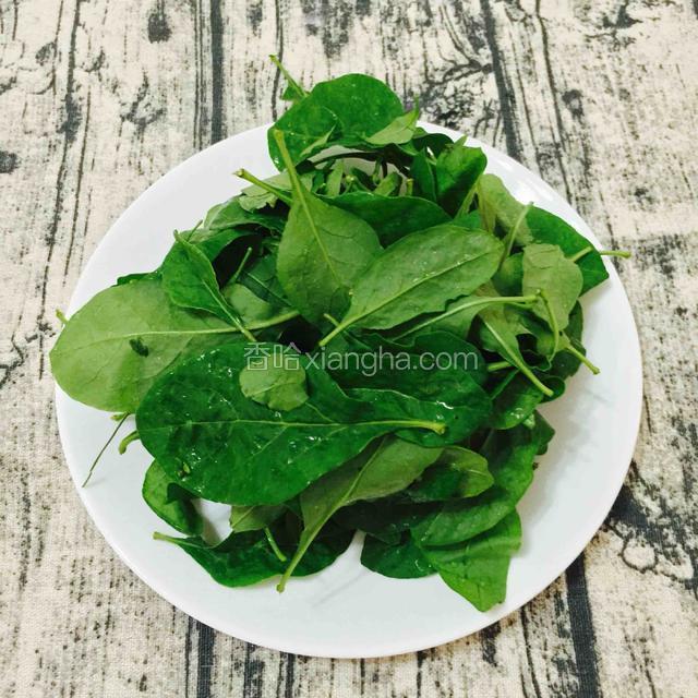 擂茶的重要部分~青汁的材料
新鲜枸杞叶