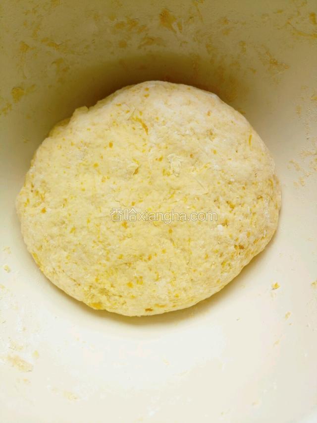 加适量温水活成面团，开始醒发！