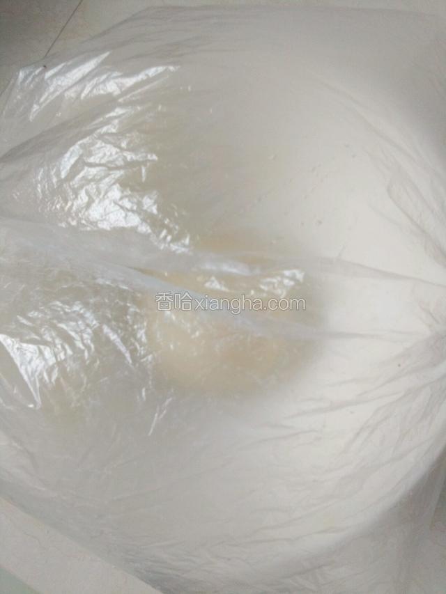 揉成面团放到温室发酵半个小时。