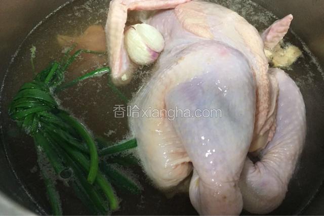 把鸡放入锅中倒入清水放入葱结蒜瓣及料酒煮熟