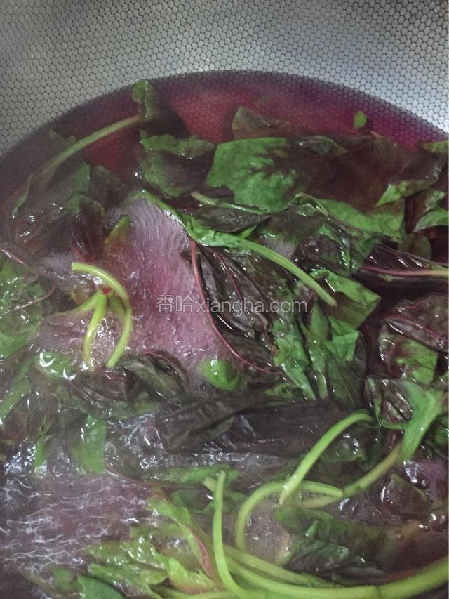 红苋菜开水煮五分钟