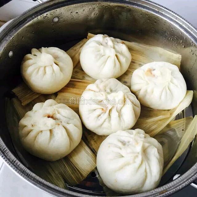 豆角肉包（豇豆肉包）
