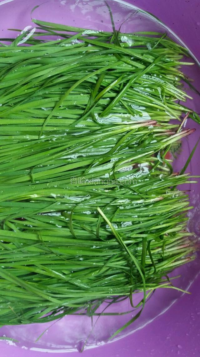 韭菜清洗干净 沥干水分