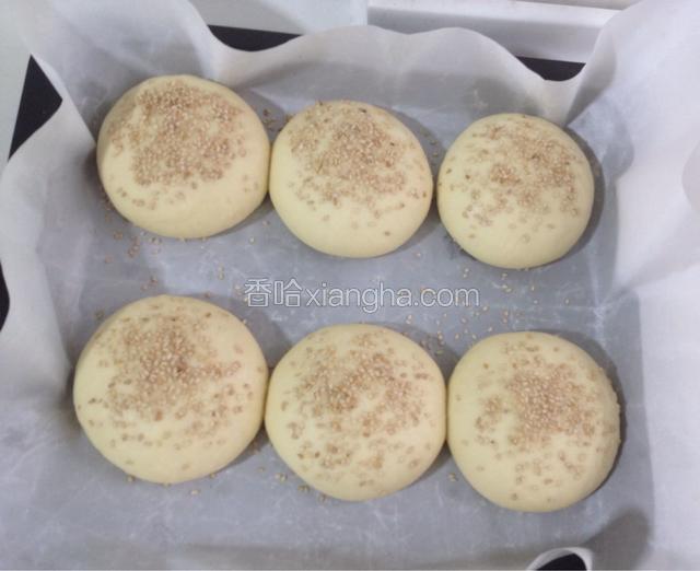 把面团放入烤箱，烤盘下面用盆倒入热水进行水浴发酵，发酵至面团的两倍大时取出