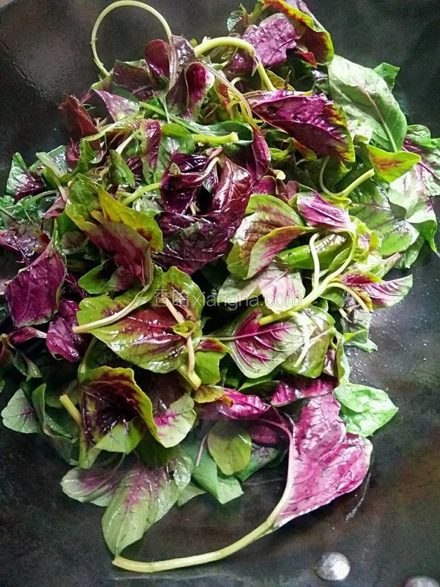 锅烧热倒入食用油，将苋菜入锅翻炒。
