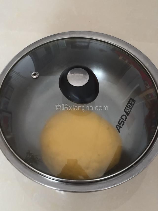 盖上盖子醒发 一般三小时左右即可发好