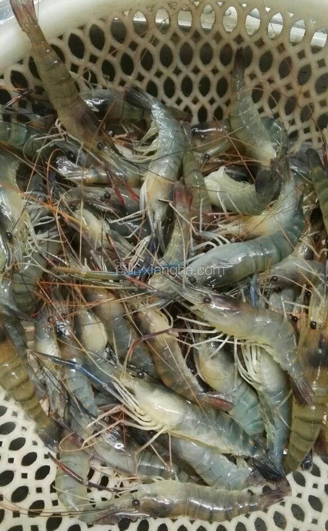 螺丝虾淘洗干净