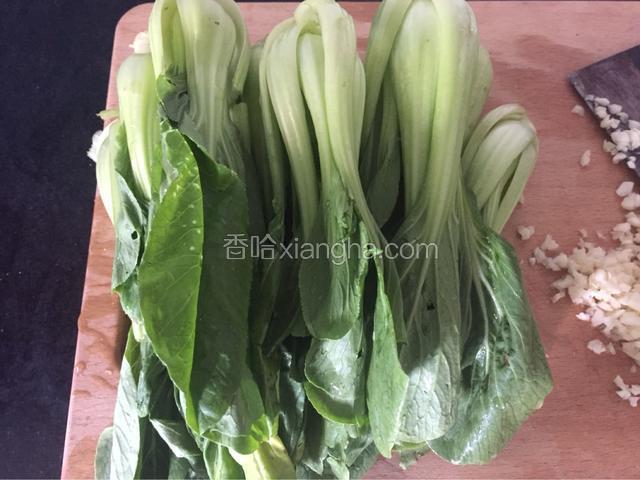 上海青摘洗干净