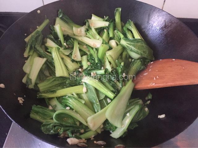 下入上海青翻炒变软后，加入适量盐