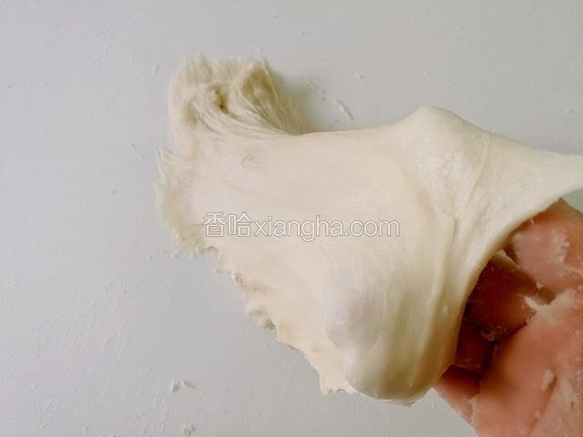 揉至面团能拉出粗膜。