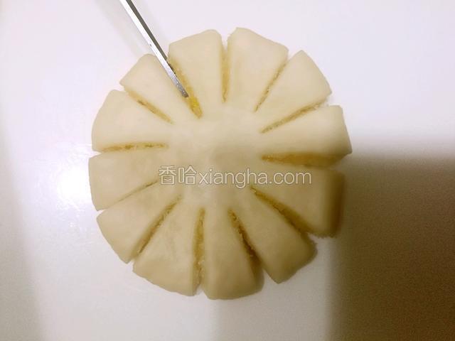 用剪刀在扁圆形面团上剪上12刀，中间留白，不要剪断。