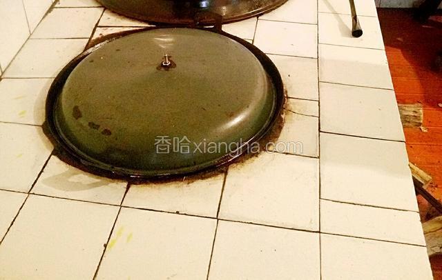 盖好盖，用中火炖制