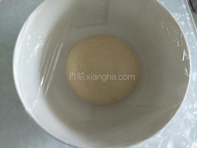 取出面团揉光滑放干净的容器中盖上保鲜膜置于28℃环境下进行发酵