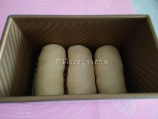 三个面团分别处理好之后排在土司盒里盖上保鲜膜醒发