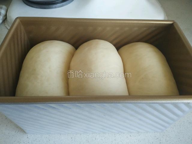 醒发至土司盒八分满盖上盖子