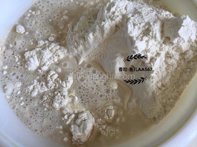 面粉、温水、酵母放盆中搅拌成棉絮状。