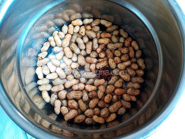 加入足够的清水，电压力锅煮15分钟