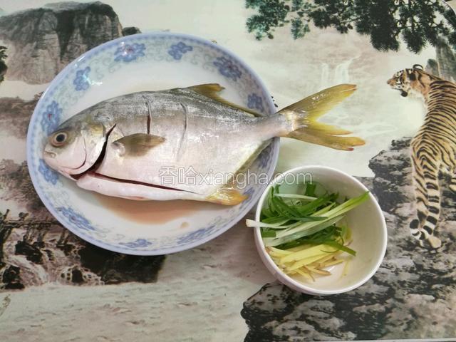 准备好食材
买回来后鱼清洗干净，背部用刀倾斜45度朝鱼头方向划几道口便于入味，抹适量盐料酒
姜葱切成小段
