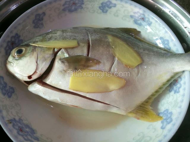 待锅里水沸后将鱼放入锅中，往鱼下部和上部各放几小片姜去腥
