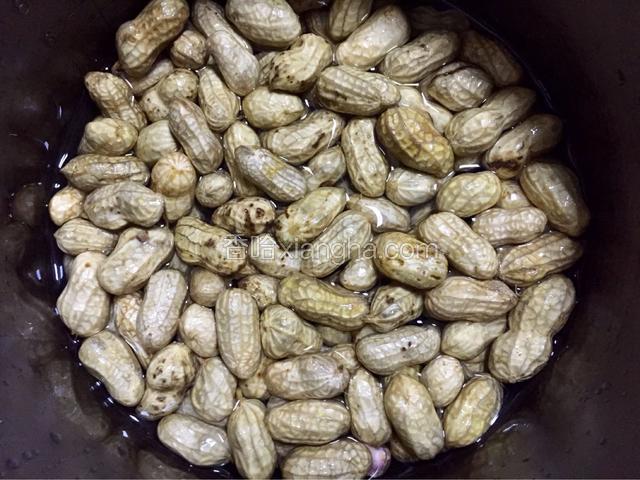 用拇指和食指轻轻按花生前面的一头，使花生壳裂开一个小口子。依次把所有的花生都按开一个小口子，这样煮的时候比较容易入味儿；我这里没有这样做，夏天温度高，煮熟的花生不容易存放，开口的花生一天吃不完就容易坏了！
把处理好的花生，倒进高压锅里面；按1：1加入适量的水