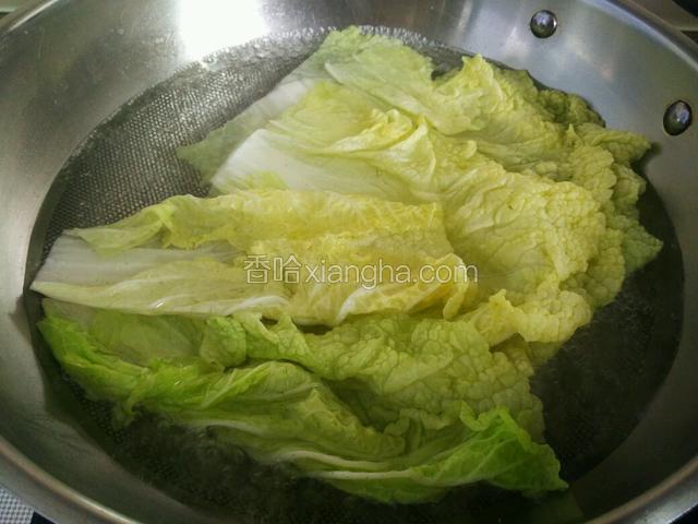 将大白菜放入开水锅中烫软，捞出来晾凉备用。