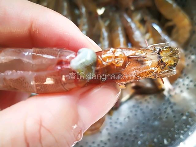 然后虾头用手往外一挤，挤掉脏物。
      〈很多人忽视这个细节〉