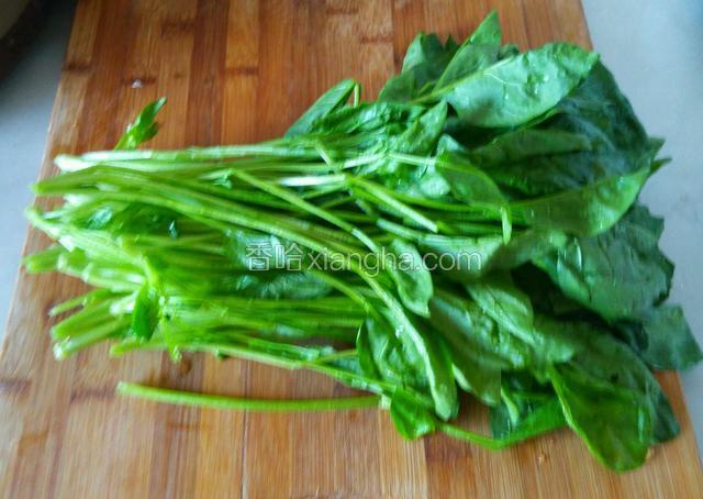 菠菜用清水洗净