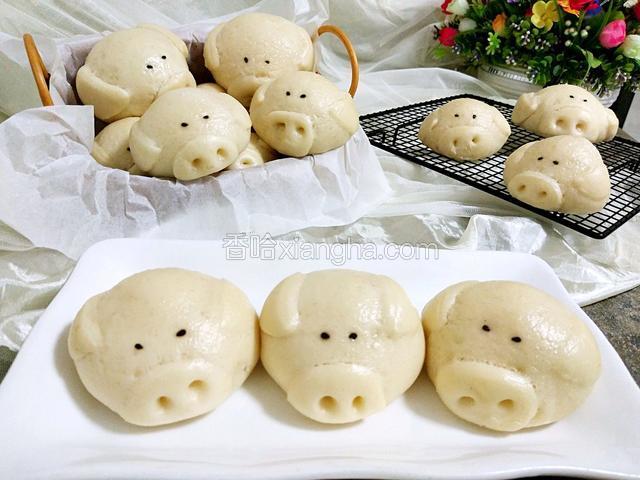 呆萌呆萌的小猪