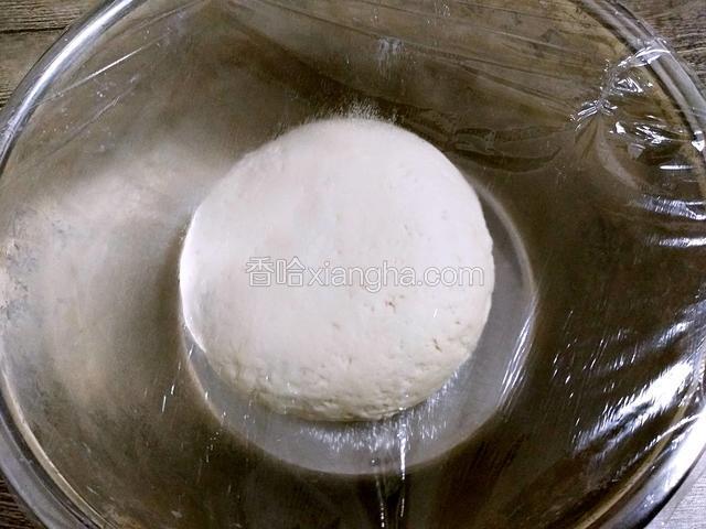 用手揉成光滑的面团，盖上保鲜膜静置发酵，揉面过程中如果感觉太干揉不动，可用手沾水揉，不要加水，做小猪的面团干一些更好造型（天冷需要放在温暖处发酵，可在盆底放一碗温水）