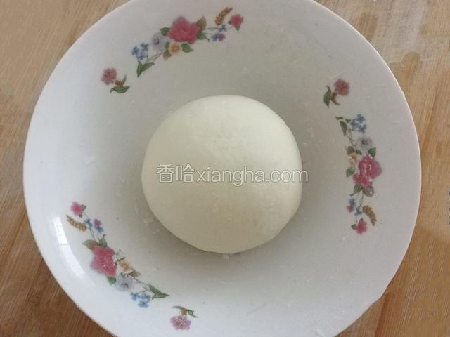 搅成絮状，揉成光滑的面团，盖上保鲜膜，发酵﻿﻿﻿﻿﻿﻿